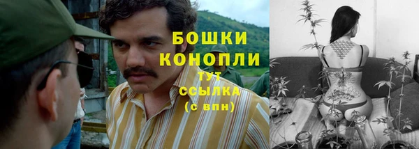 трава Осинники