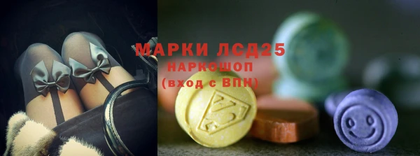 трава Осинники