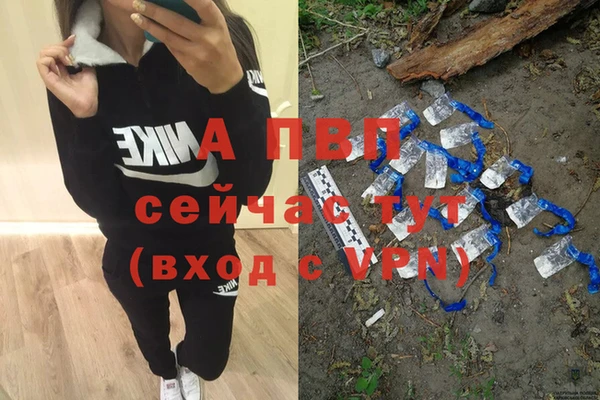 трава Осинники