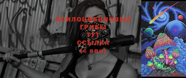 трава Осинники