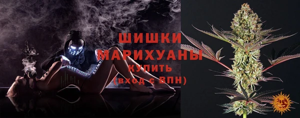 трава Осинники